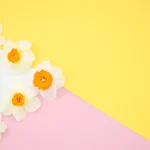 This Nursery Rhyme Is Super Cool